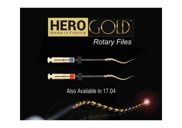 Micro Mega Hero Gold Rotary Files , pack of 6 file (Made in france)